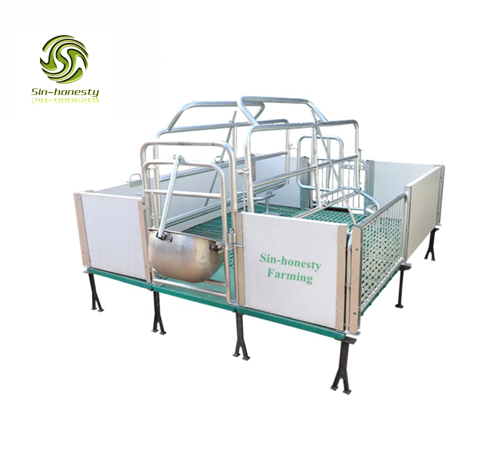 Pig Farming Equipment Pig Farrowing Pig Gestation Pig Flooring